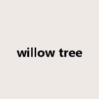 willow tree是什么意思