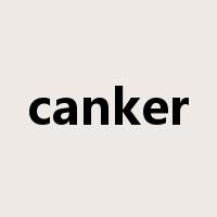 canker是什么意思