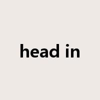 head in是什么意思