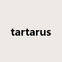 tartarus是什么意思