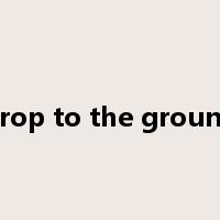 drop to the ground是什么意思