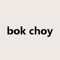 bok choy是什么意思