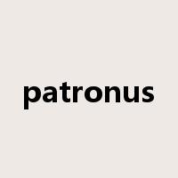 patronus是什么意思