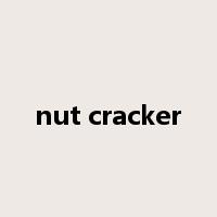 nut cracker是什么意思
