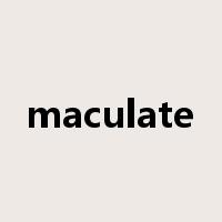 maculate是什么意思