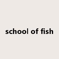 school of fish是什么意思