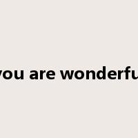 you are wonderful是什么意思