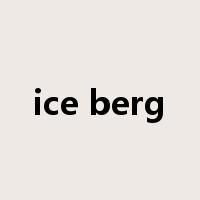 ice berg是什么意思