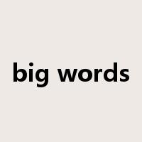 big words是什么意思