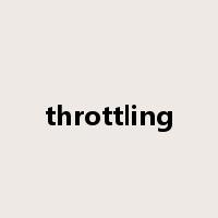 throttling是什么意思