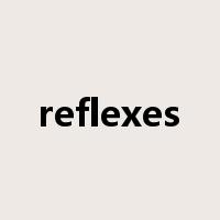 reflexes是什么意思