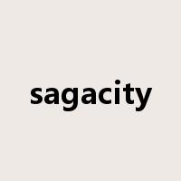 sagacity是什么意思