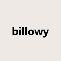 billowy是什么意思
