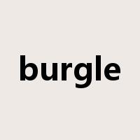 burgle是什么意思