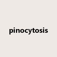 pinocytosis是什么意思