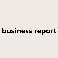 business report是什么意思
