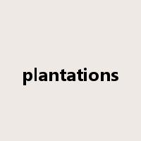plantations是什么意思