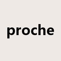 proche是什么意思