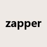 zapper是什么意思