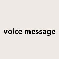 voice message是什么意思