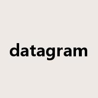 datagram是什么意思