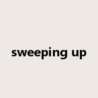 sweeping up是什么意思