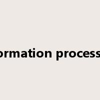 information processing是什么意思