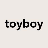toyboy是什么意思