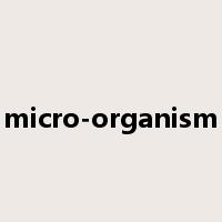 micro-organism是什么意思