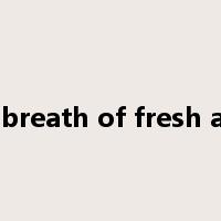 a breath of fresh air是什么意思