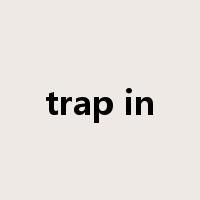 trap in是什么意思