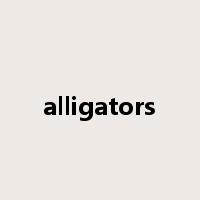 alligators是什么意思