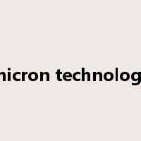 micron technology是什么意思