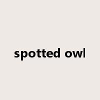 spotted owl是什么意思