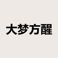 大梦方醒是什么意思