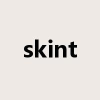 skint是什么意思