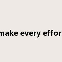 make every effort是什么意思