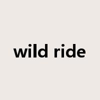wild ride是什么意思