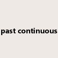 past continuous是什么意思
