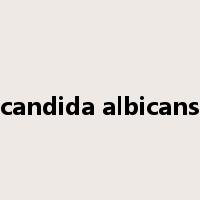 candida albicans是什么意思