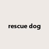 rescue dog是什么意思