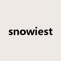 snowiest是什么意思