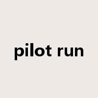 pilot run是什么意思