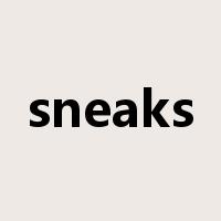 sneaks是什么意思