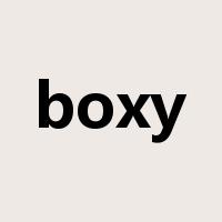boxy是什么意思
