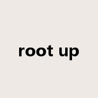 root up是什么意思