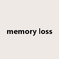 memory loss是什么意思