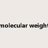 molecular weight是什么意思
