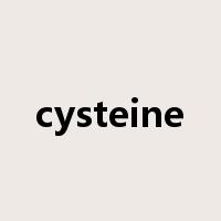 cysteine是什么意思