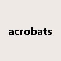 acrobats是什么意思